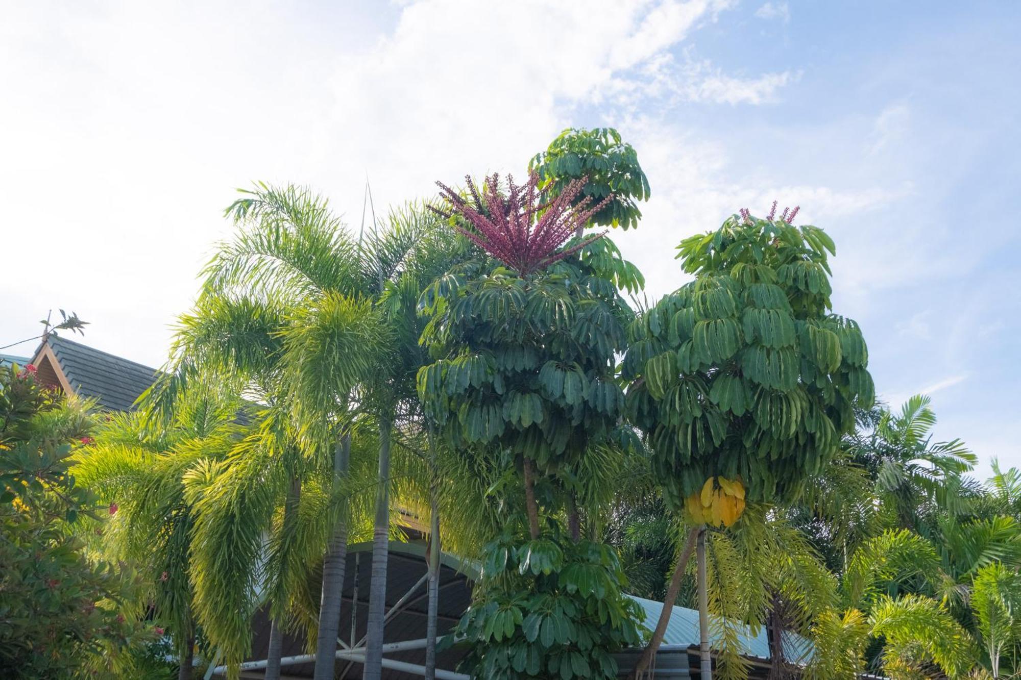Blue Beach Grand Resort And Spa In Chalong Phuket By Dayuu Ban Saiyuan Εξωτερικό φωτογραφία